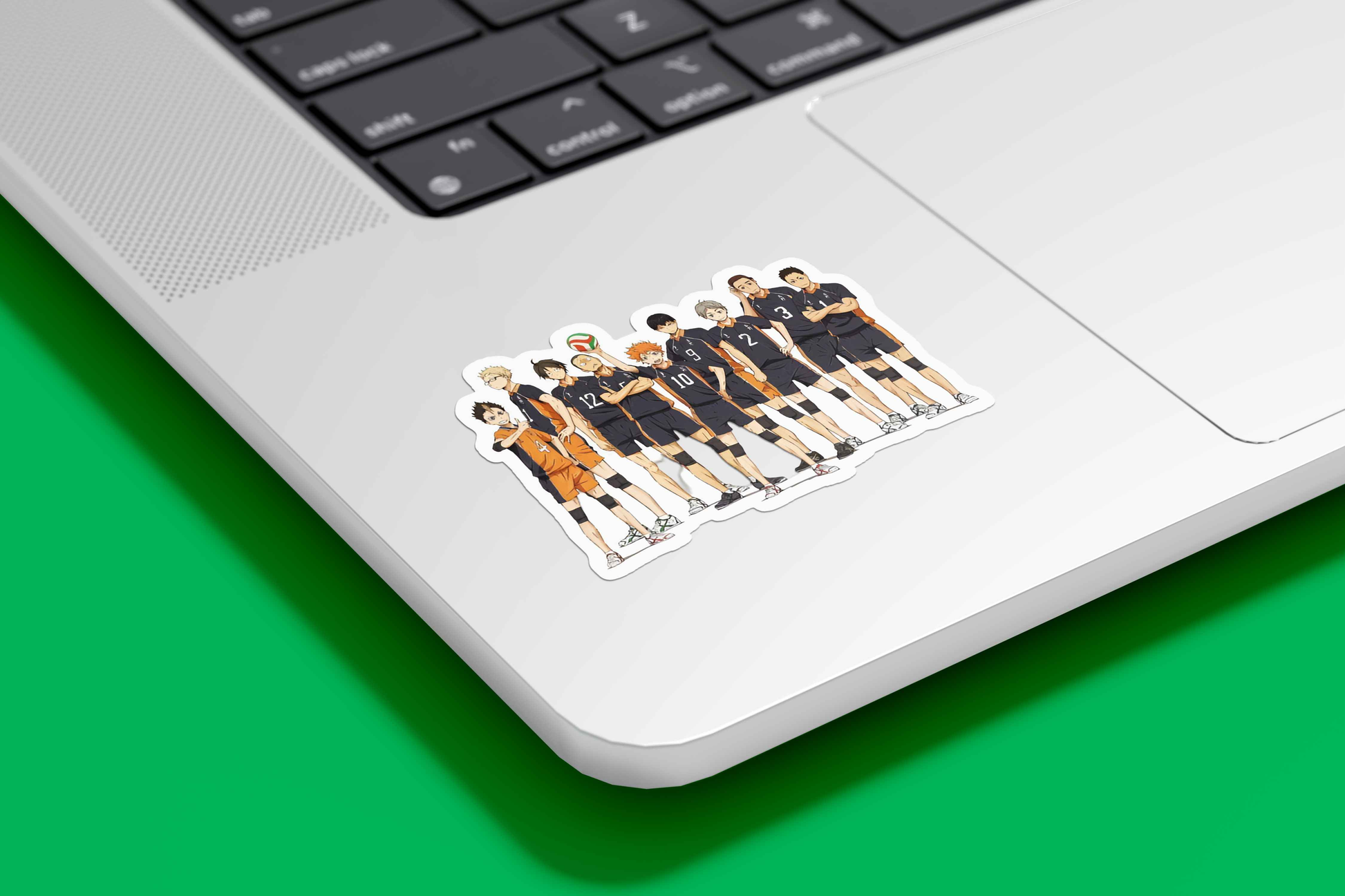 Karasuno Team | Haikyu